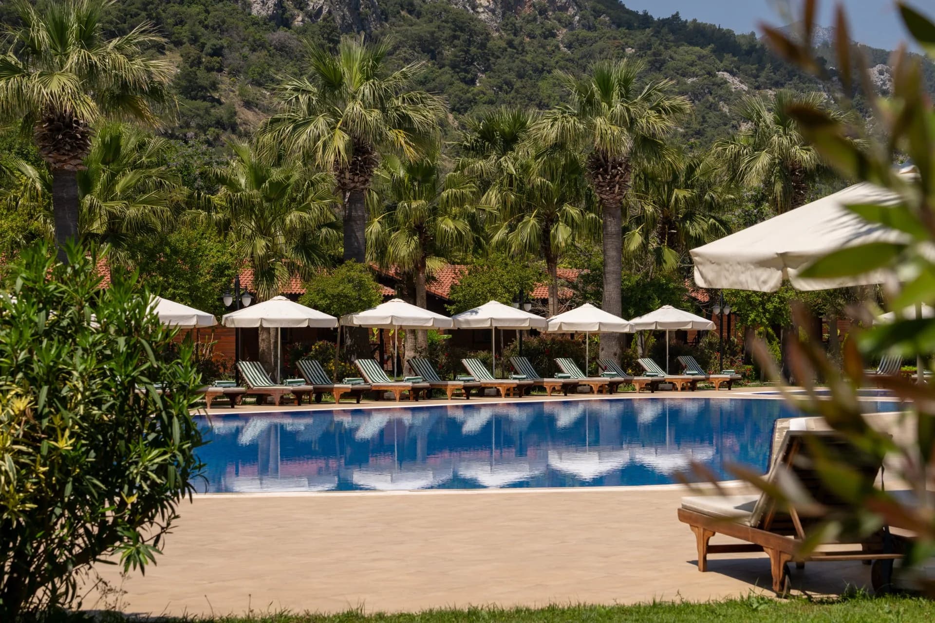 Aerial view of a seafront resort pool framed by palms and a mountain backdrop